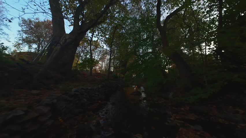 FPV drone flying between trees over a forest creek during sunset. Golden light reflects on the water, highlighting the warmth and cinematic beauty of the autumn forest.