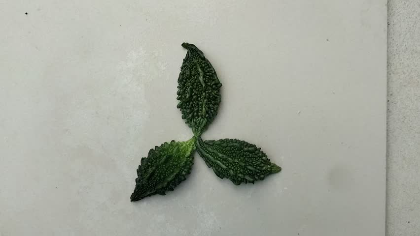 Creative Karela Art, Vegetable Art, Video Clip 