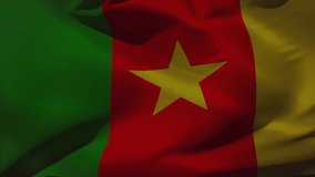 Panel appearing over Cameroon flag showing progress from data processing to encryption while waving. Technology, cybersecurity, data, digital, interface, innovation, progress - Powered by Shutterstock - Get 15% off with code: PIKWIZARD15