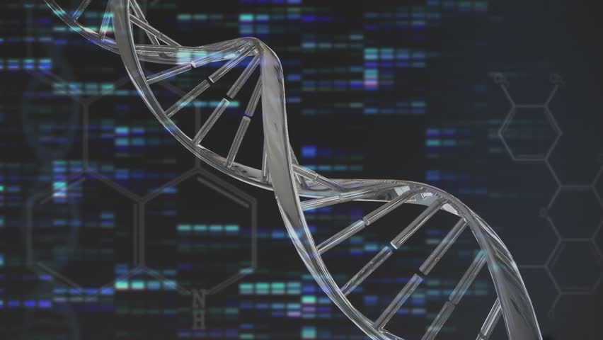 DNA helix model appearing and rotating visualizing genetics while code-hexagon overlays fading. Molecular, biotechnology, futuristic, innovation, scientific, digital, abstract - Powered by Shutterstock - Get 15% off with code: PIKWIZARD15