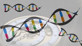 Grid rising stylized DNA helices undulating and rotating over clock face showing genetic cycles. Futuristic, biotechnology, innovation, digital, science, abstract, engineering - Powered by Shutterstock - Get 15% off with code: PIKWIZARD15