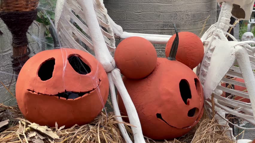 Spooky halloween display with skeletons and carved pumpkin jack-o