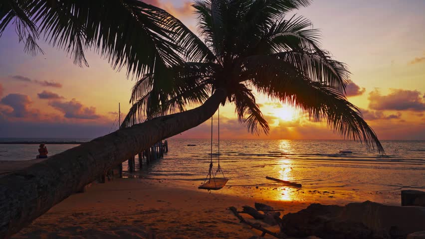 Tropical beach with scenery palm tree and colorful sunset above the ocean 4K