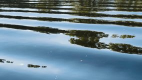 Water Surface Reflections Trees Mirror Effect Rippling Liquid Abstract Nature Patterns Blue Sky Tranquil Scene. Slow Motion Cinematic 4K B-Roll Footage  - Powered by Shutterstock - Get 15% off with code: PIKWIZARD15