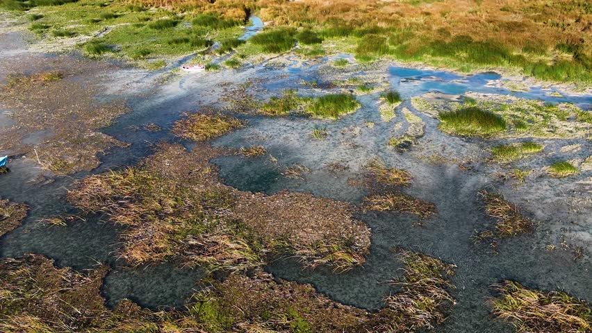 An overhead aerial shot of a shallow marsh with a mix of clear water and various types of aquatic plants creating a complex and beautiful pattern of natural textures