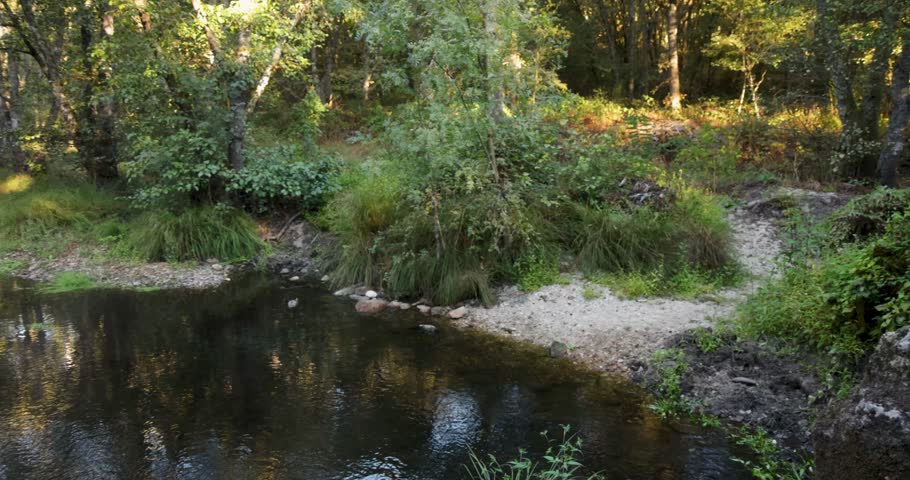 A log is on the ground next to a river. The water is calm and the surrounding area is lush and green. Pan left shot.