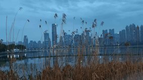 Reeds Silhouetted Against City Skyline Reflection on Lake Surface at Dusk - Powered by Shutterstock - Get 15% off with code: PIKWIZARD15