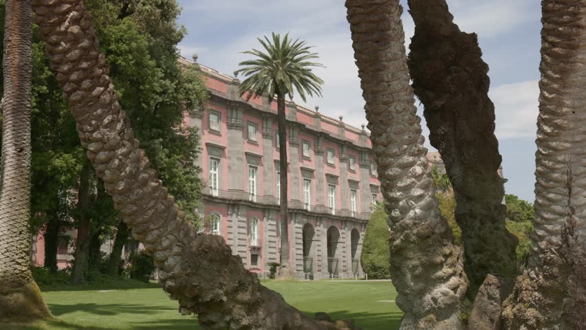 Museo di Capodimonte is an art museum located in the Palace of Capodimonte, a grand Bourbon palazzo in Naples, Italy designed by Giovanni Antonio Medrano.