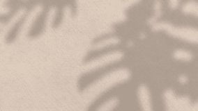 A minimalist abstract design featuring a coral-colored circle with concentric rings, overlaid with subtle leaf shadows and horizontal lines on a neutral background. - Powered by Shutterstock - Get 15% off with code: PIKWIZARD15