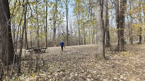Man jogging in autumn forest, stops to tie shoelaces, then continues running. Horizontal 4K footage. - Powered by Shutterstock - Get 15% off with code: PIKWIZARD15