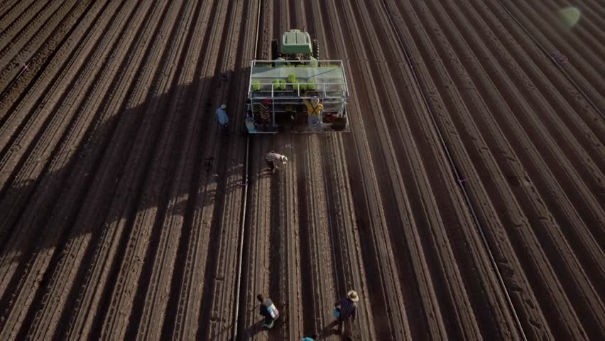 Yuma Arizona USA – 4K Drone Aerial of Agricultural Industry and Farmland