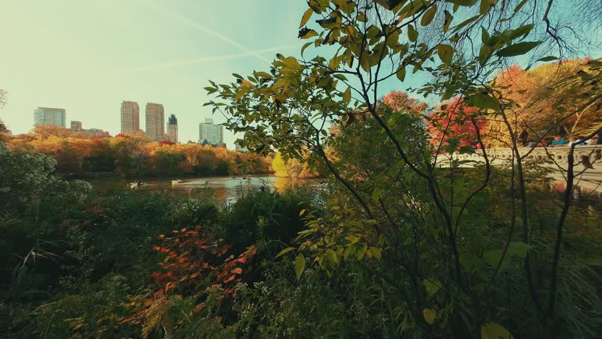 New York City Central Park urban view with lake in Autumn in slow motion