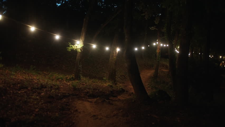 Illuminated string lights stretching through wooded trail in nighttime forest setting