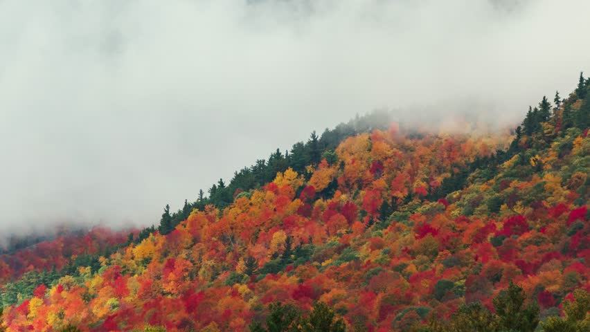 Adirondack Mountain, New York State. Aerial view of a forested hillside covered in autumn foliage, with a misty backdrop. The trees are a vibrant mix of red, orange, yellow, and green.