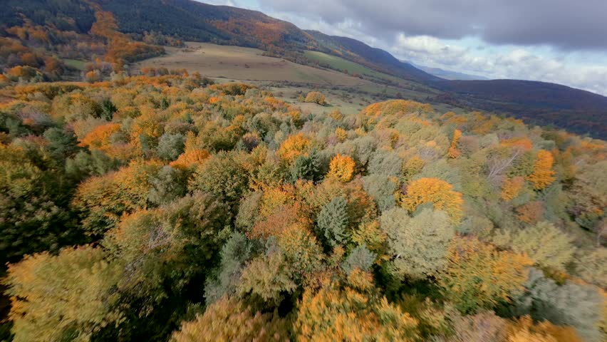 FPV drone flight over colorful autumn forest with green pine trees and orange foliage. Cinematic aerial view of fall mountains and scenic natural landscape.
