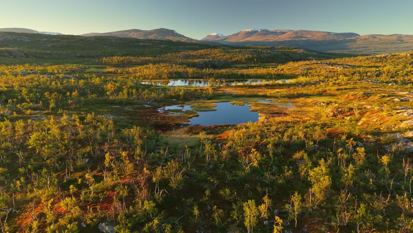 Landscapes of Abisko National Park with stunning aerial views and breathtaking natural beauty. Swedish Lapland. Lush greenery, clear lakes and majestic mountain ranges during golden hour