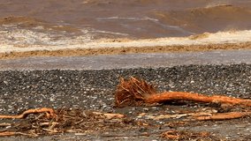 The aftermath of a heavy rain, flood and storm on a pebble beach. Driftwood, tree remains, debris, and very muddy brown waves. Concept of deterioration of hygiene conditions due to natural disasters - Powered by Shutterstock - Get 15% off with code: PIKWIZARD15