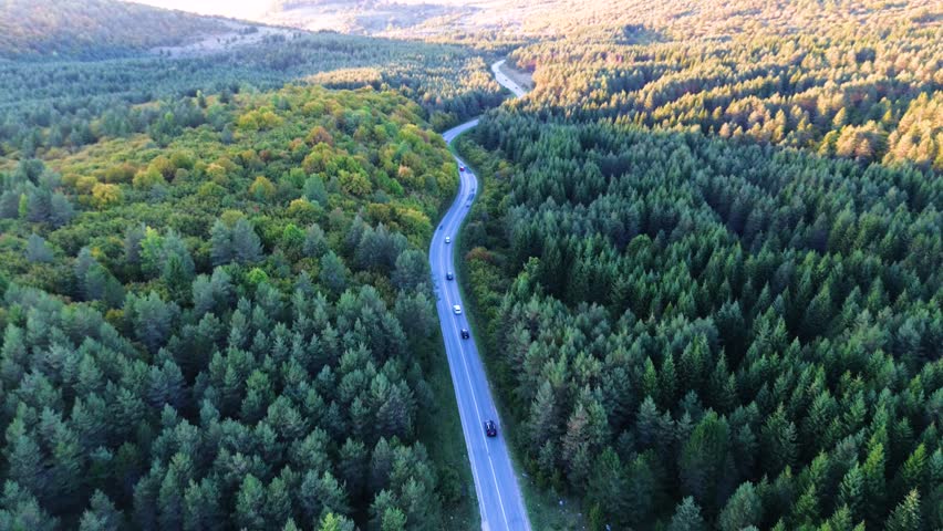 Winding road with traffic passing through a dense green pine forest in a hilly rural landscape