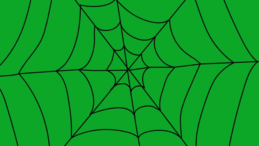 Animated Spider Web Building on Green Screen | Expanding Cobweb VFX Overlay