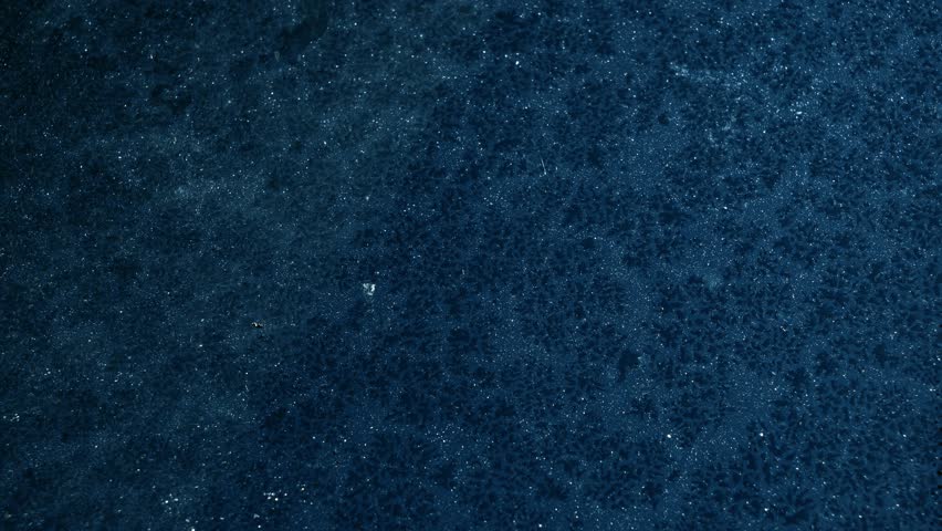 Close-Up Ice Frost Forming in Cold Winter Time lapse, Freezing Process