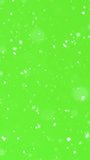Snow Falling on Green Screen Background, Vertical Winter Overlay Effect - Powered by Shutterstock - Get 15% off with code: PIKWIZARD15