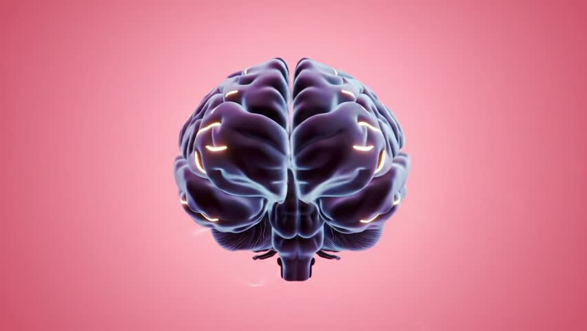 HD animation of a 3D human brain rotating with glowing neon blue and purple lights on a pink background. Perfect for projects about AI, neuroscience, technology, and digital innovation. - Powered by Shutterstock - Get 15% off with code: PIKWIZARD15