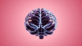 HD animation of a 3D human brain rotating with glowing neon blue and purple lights on a pink background. Perfect for projects about AI, neuroscience, technology, and digital innovation. - Powered by Shutterstock - Get 15% off with code: PIKWIZARD15