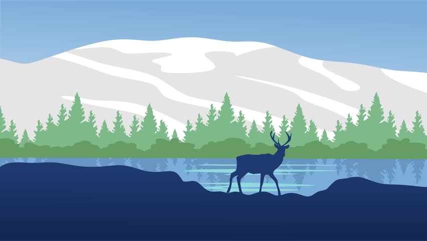 beautiful natural scenery in North Cascades National Park