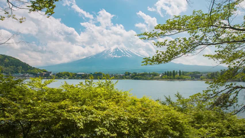 Mount Fuji rises majestically above serene lake, surrounded by vibrant greenery. Soft clouds float in a clear blue sky. Lush foliage frames this picturesque landscape.