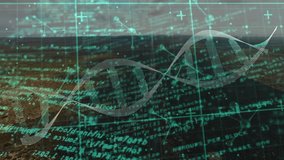 Turquoise gridlines sliding into view starting dna helix rotating streaming code for gene analysis. Futuristic, technological, digital, molecular, abstract, innovation, science - Powered by Shutterstock - Get 15% off with code: PIKWIZARD15