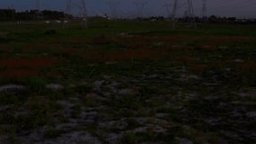 Dusk field spawning bars growing, shifting and cycling hues over power towers visualizing waveform. Abstract, digital, technology, futuristic, motion, energy, landscape - Powered by Shutterstock - Get 15% off with code: PIKWIZARD15