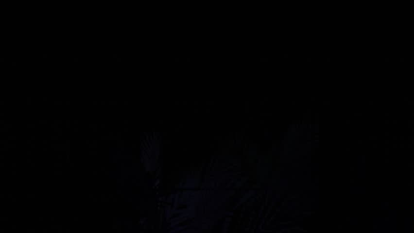 Fading in text LEVEL UP inside neon frame, palm fronds rising and glitching showcasing progression. Neon, futuristic, cyberpunk, vibrant, motion graphics, digital, technology - Powered by Shutterstock - Get 15% off with code: PIKWIZARD15