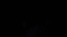 Fading in text LEVEL UP inside neon frame, palm fronds rising and glitching showcasing progression. Neon, futuristic, cyberpunk, vibrant, motion graphics, digital, technology - Powered by Shutterstock - Get 15% off with code: PIKWIZARD15