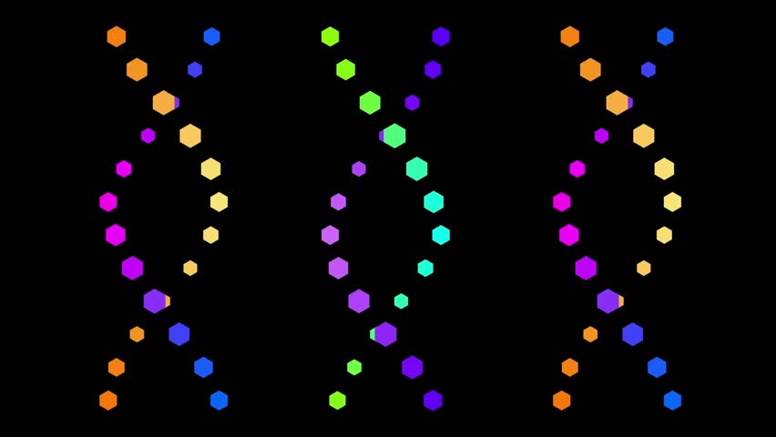 Three rainbow loops cycling on black then HS OR morphing into HIGH SCORE glitching for scoreboard. Neon, digital, futuristic, vibrant, technology, animation, graphics - Powered by Shutterstock - Get 15% off with code: PIKWIZARD15