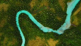 Aerial view meander of cold blue river of glaciers in green forest vegetation of delta from mountain Altai, beautiful nature reserve. Beautiful Landscape Multinskoye lake. - Powered by Shutterstock - Get 15% off with code: PIKWIZARD15