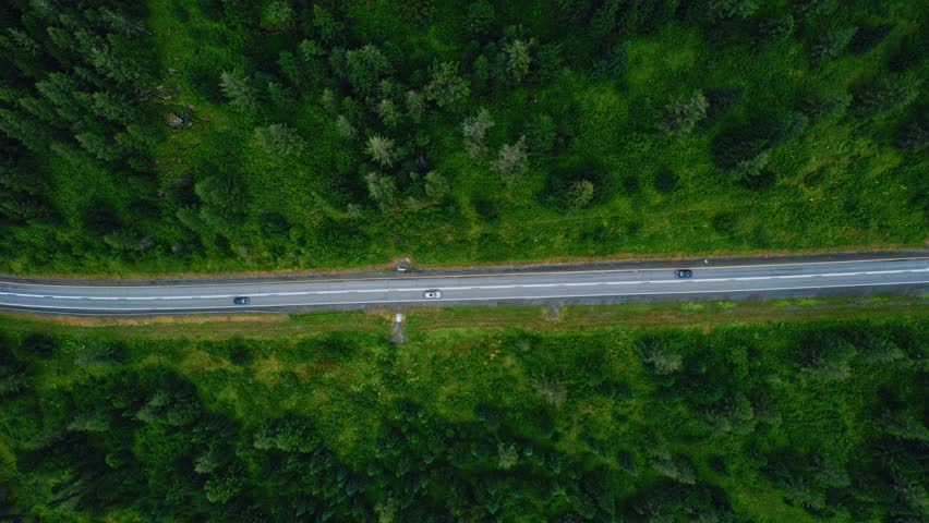 Concept nature landscape hike trip to mountain. Silence summer forest green trees and suv car is driving along road in rural Altai, aerial top view.