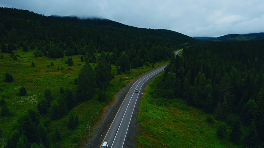 Silence summer forest green trees and road way in rural Altai, aerial top view. Concept nature landscape mood melancholic and hike trip to mountain.