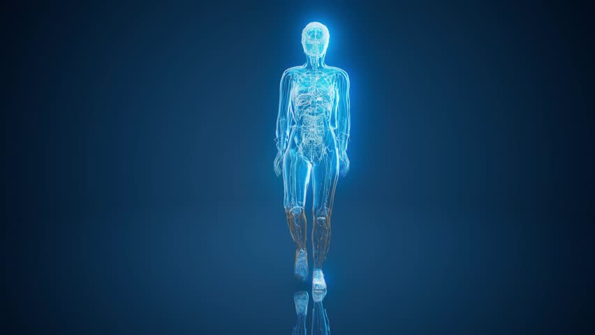 Conceptual 3D animation of a woman with back pain on fire