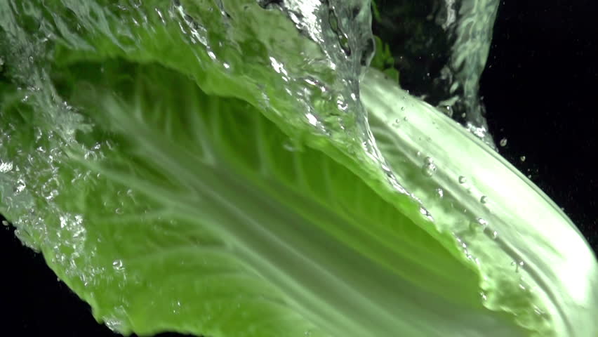 Beijing Cabbage Falls in Water. Head of Chinese cabbage falls in water on a black background. Slow Motion