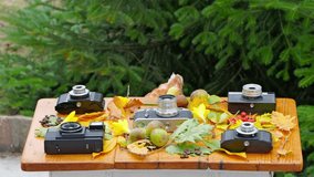 Brown Loman hen pecking coffee beans on a rustic wooden table decorated with vintage cameras, autumn leaves, and fruits. A second hen briefly appears in the background. - Powered by Shutterstock - Get 15% off with code: PIKWIZARD15