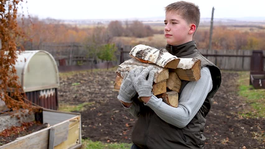 Young boy transports a wheelbarrow loaded with firewood, demonstrating effort and focus, while navigating a yard with rustic buildings and greenery	