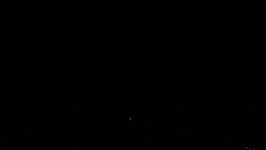 Sliced Yellow Pepper. Yellow pepper slices fall on the water line on a black background. Slow Motion - Powered by Shutterstock - Get 15% off with code: PIKWIZARD15