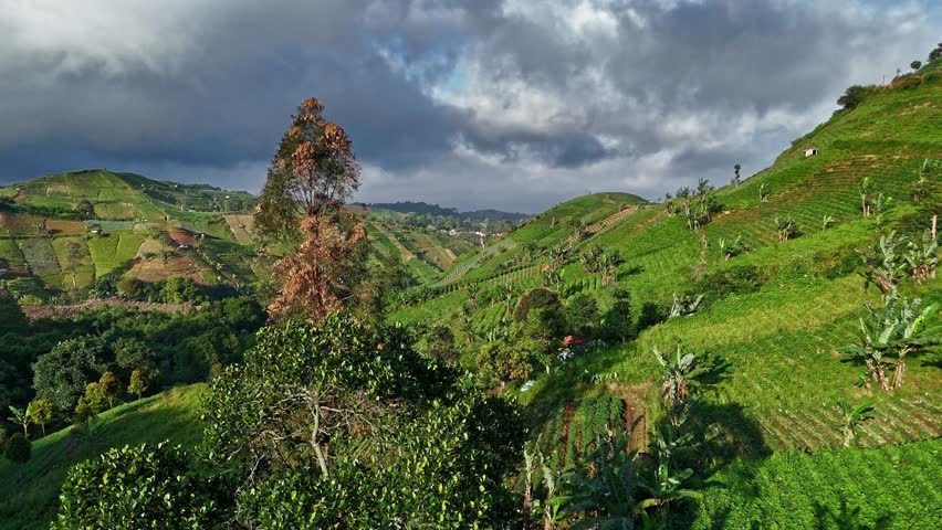 Aerial View of Green Terraced Hills and Vegetable Farms stormy weather in the hills