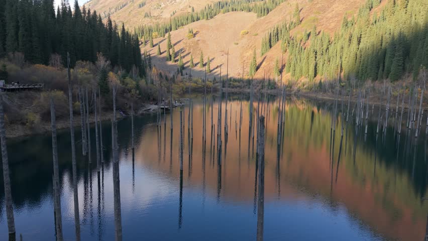 Serene lake surrounded by vibrant trees and reflections, showcasing standing tree stumps in water, the camera pans smoothly to reveal the tranquil landscape and natural beauty