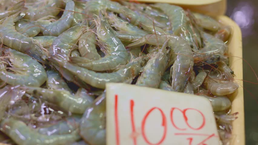 Explore a bustling fish market showcasing an array of fresh fish and seafood, variety of fish and shrimp highlighting different types of shrimp neatly arranged for customers to choose from.