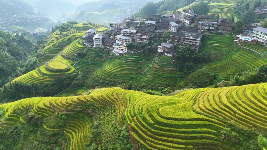 Aerial view of Longsheng Rice Terraces in the Guangxi Region, China