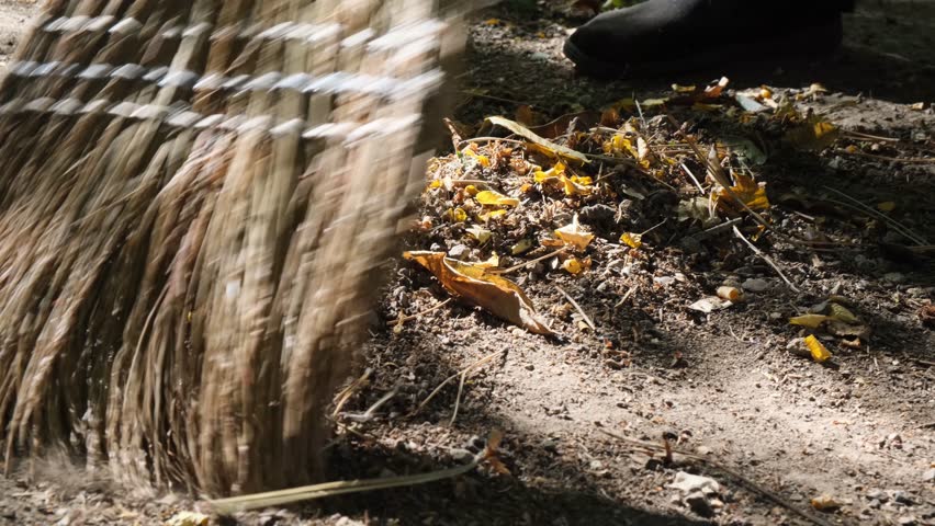 Close-up of sweeping garden debris with a broom and plastic dustpan. A person collects leaves and dry grass, sweeping them onto the pan. Cleaning the yard and garden area in autumn.