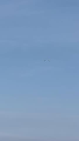 Two seagulls are flying synchronously high in the clear blue sky. Minimalist nature background with free birds in motion symbolizing freedom, peace, and travel