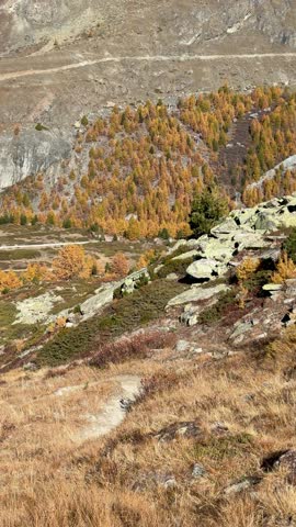 Take the Gornergrat Railway from Zermatt to the summit, with views of the autumnal landscape. Beautiful Swiss mountain scenery.