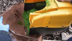 Close macro view of dense fresh grass blades forming a natural green texture. Loop-friendly background for titles and overlays. - Powered by Shutterstock - Get 15% off with code: PIKWIZARD15